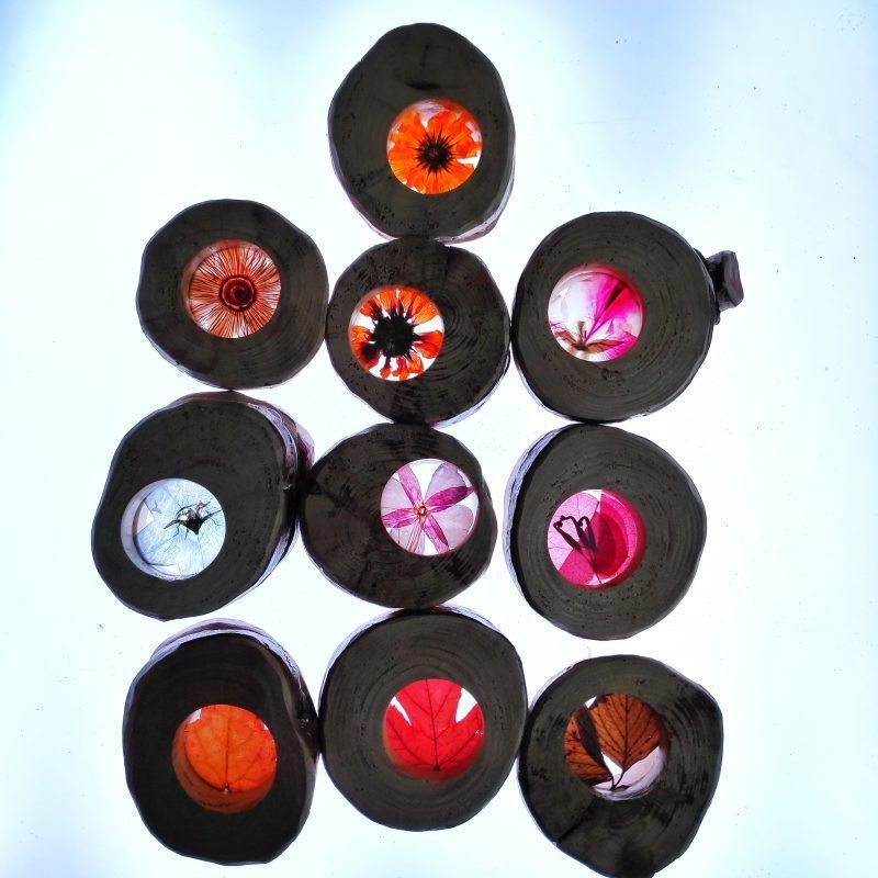 piezas sesmuses