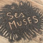 logo sesmuses
