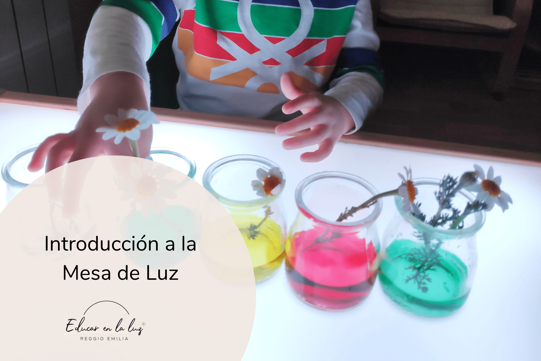 Protegido: Introducción a la Mesa de Luz