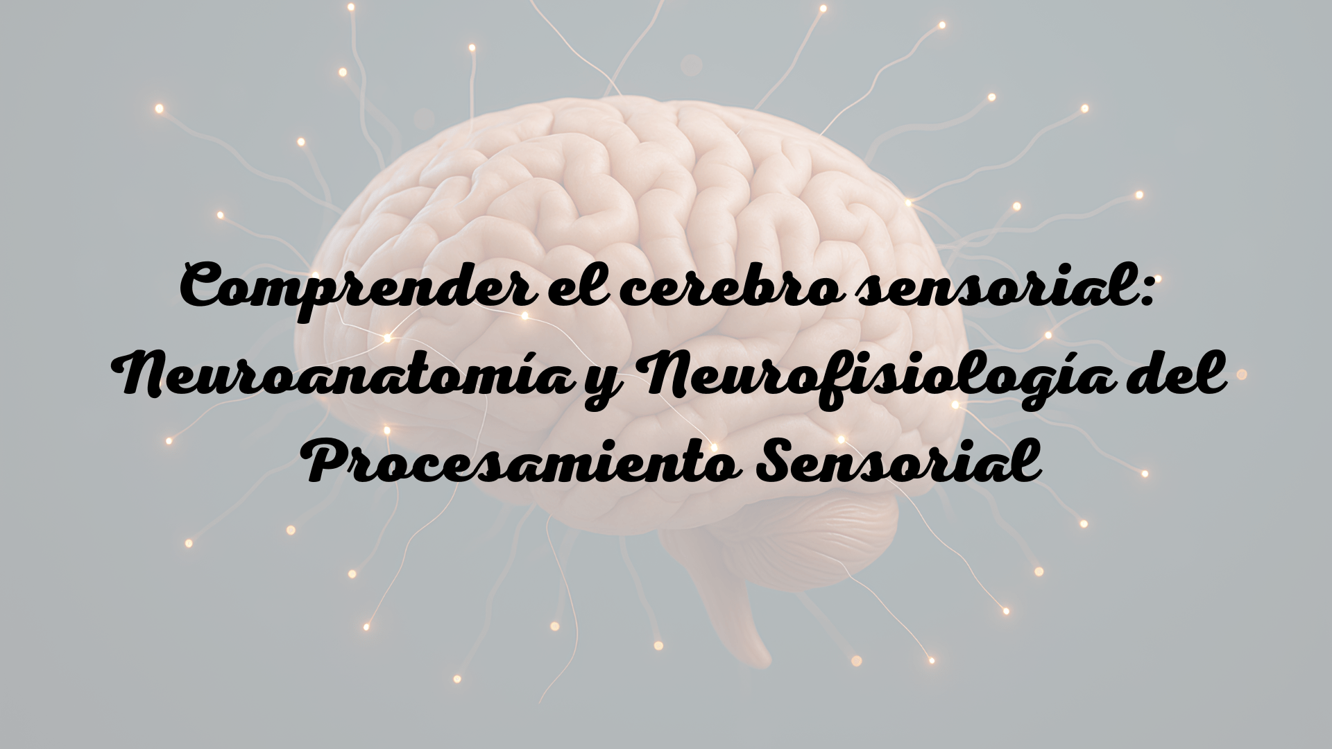 Snoezelen educativo y terapéutico para neurodiversidad Módulo 1