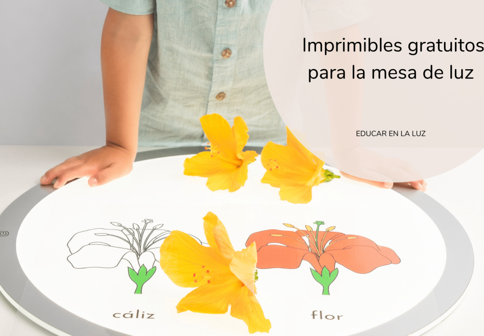 Imprimibles mesa de luz