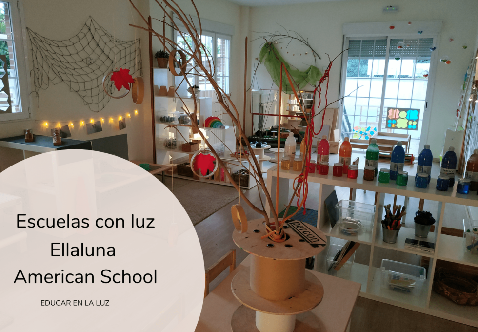 ellaluna american schools
